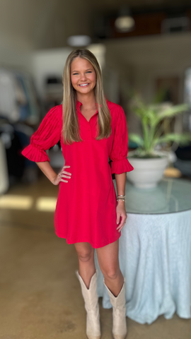 Crimson Collared Zip dress