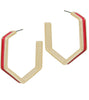 Red hexagon hoops